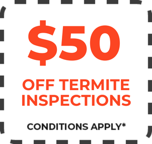 Termite inspections 50 off
