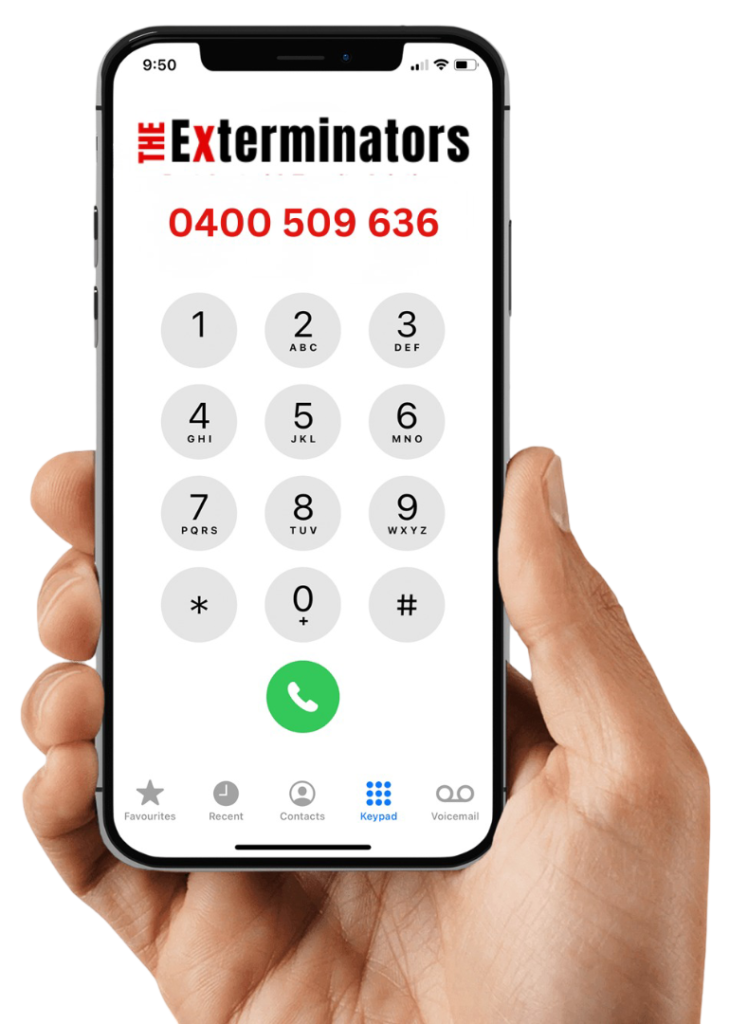 Hand holding smartphone with contact details of The Exterminators