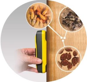 Termite inspection tool with images of termites