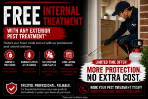 free internal pest control service in Sydney NSW