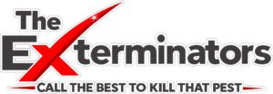 logo 3 white with slogan bg