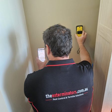 The Exterminators owner Rob is using the termatrac to detect moisture behind wall during a termite inspection in Sydney