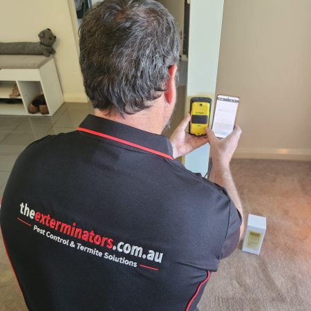 The Exterminators using the termatrac to detect termite movement behind wall to install termite bait station in exact area during a termite treatment in Sydney